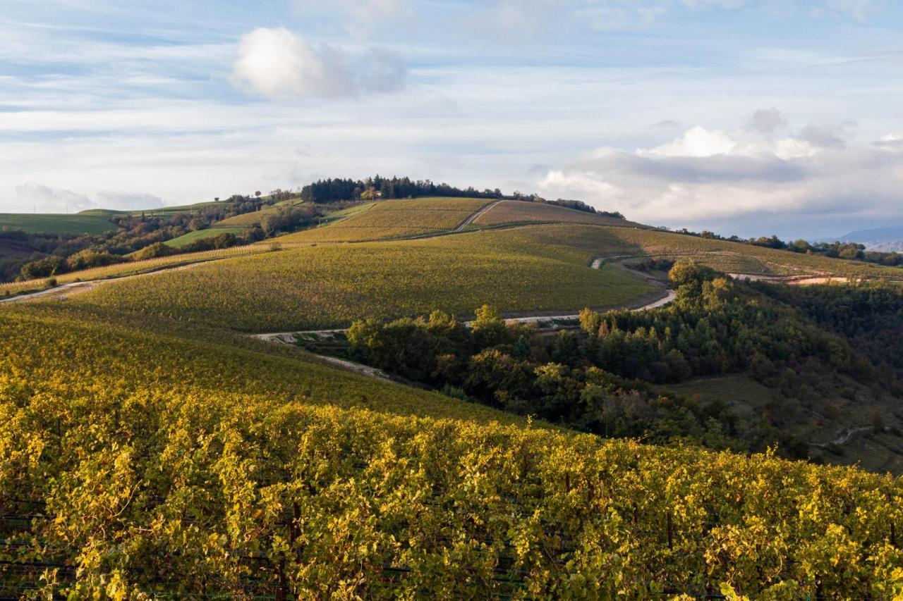 فندق Ca' Del Moro Wine Retreat غريزانا المظهر الخارجي الصورة